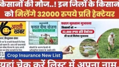 Crop Insurance GR 2024