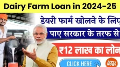 Dairy Farm Loan in 2024-25