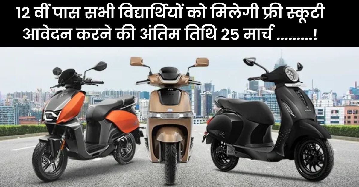 Electric Scooter Subsidy