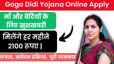 Gogo Didi Yojana Form