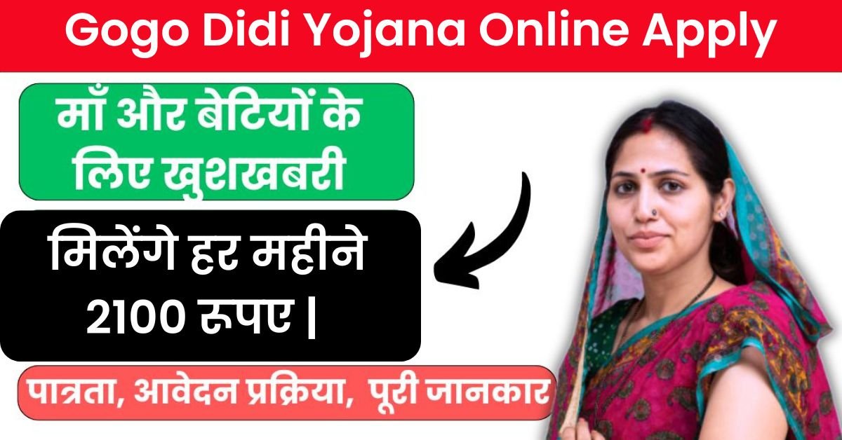 Gogo Didi Yojana Form