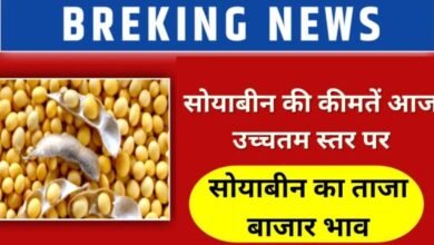 Soyabean Rate Today